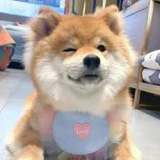 Humayun Saeed avatar